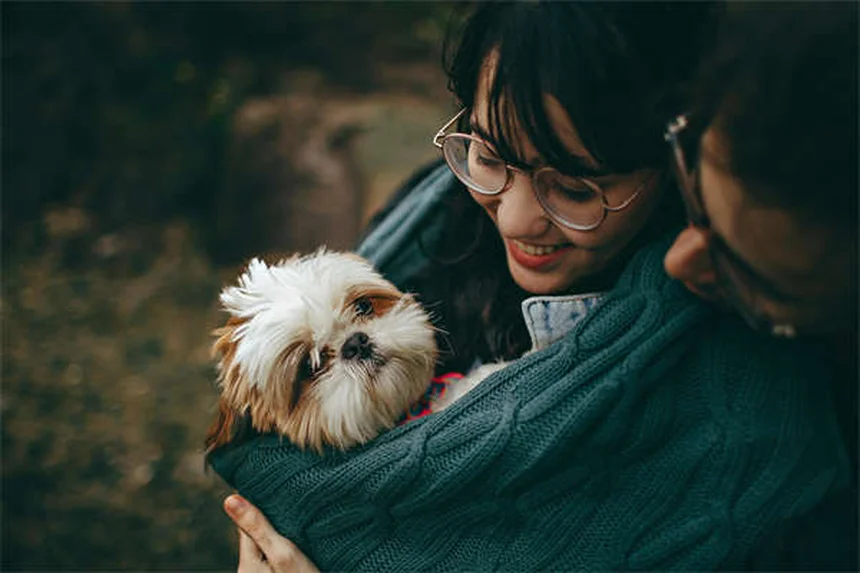Rabbit Treponematosis: 5 Crucial Facts Every Bunny Owner Must Know